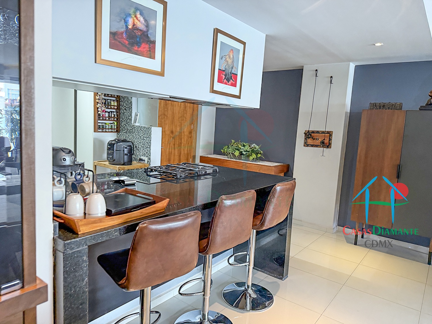 Polanco Departamento Arquímedes - Cocina 1